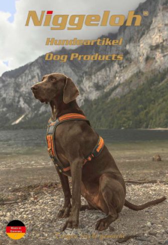 Katalog Hundeausrüstung 2025