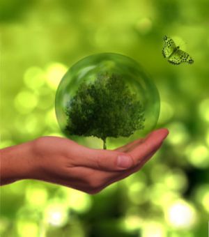 Niggeloh steht für Nachhaltigkeit