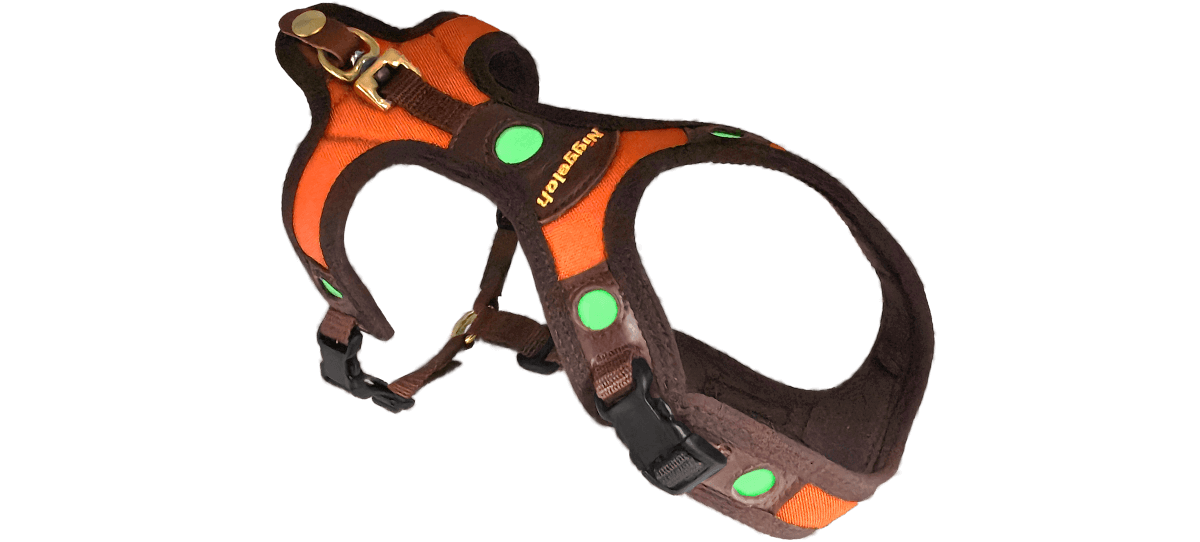 Geschirr Follow Light LICHTBLICK Orange/Braun in Größe XS leuchtend