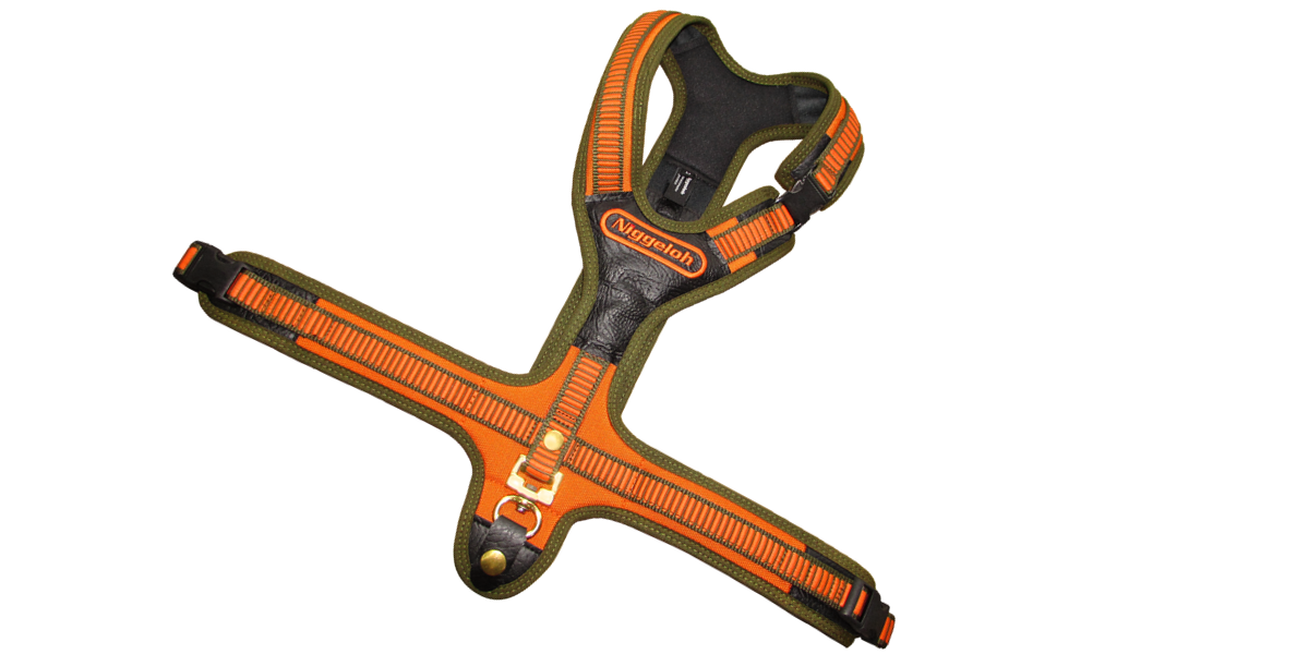 Führgeschirr FOLLOW in orange mit 3 Steckverschlüssen