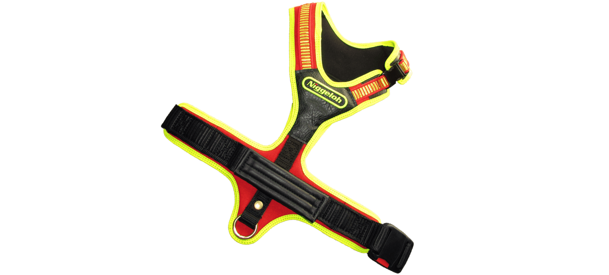 Geschirr Follow SPORT PLUS Rückenansicht