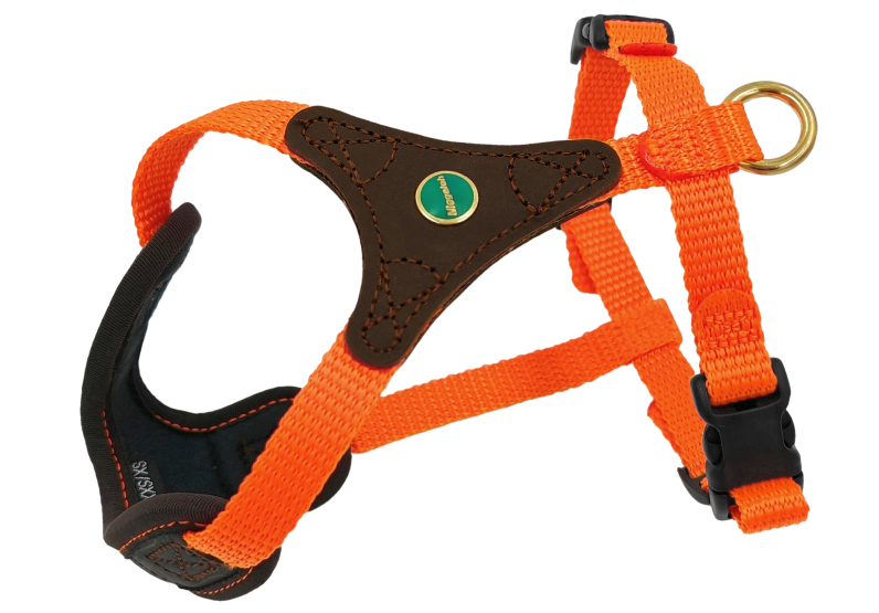 Geschirr Follow START in orange-braun Größe XXS-XS