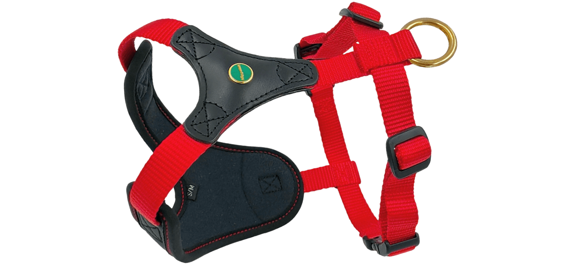 Geschirr Follow START in rot Größe S-M