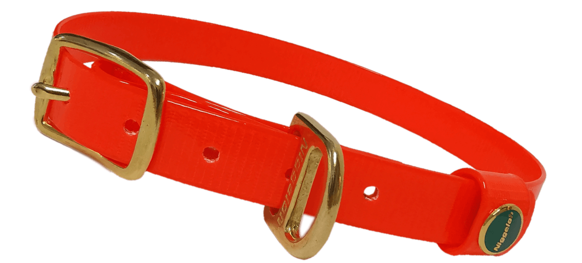 BioThane Halsung GLOSSY in orange Größe S