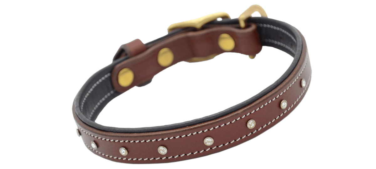 Lederhalsung STAR in braun Größe XS