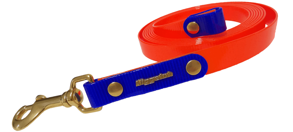 BioThane Schlepp- & Ausbildungsleine GLOSSY in orange