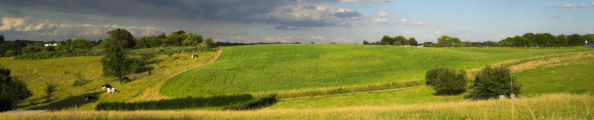Bergisches Land - Heimat der Niggeloh GmbH