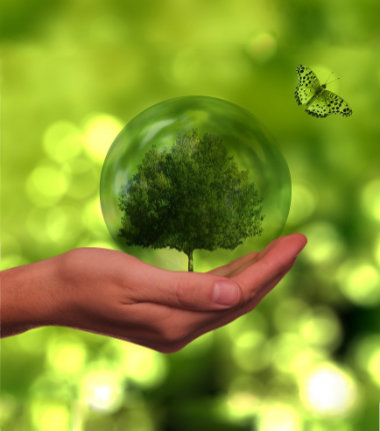 Niggeloh operates sustainable production